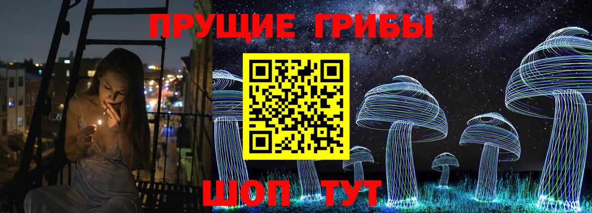 Чехов  Псилоцибиновые грибы мицелий  Вход с VPN 