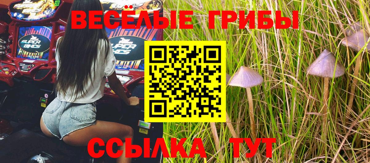 Псилоцибиновые грибы мицелий Чехов